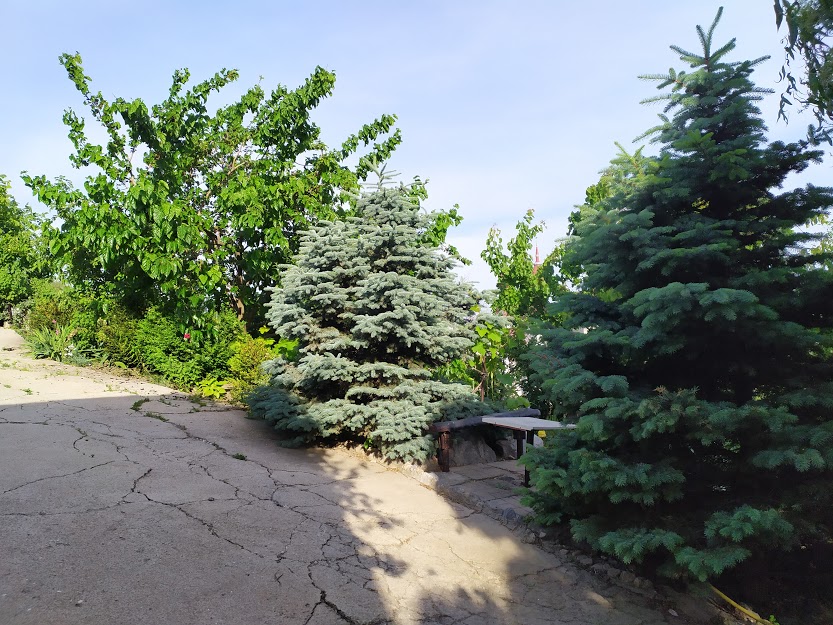 IMG_20200611_173228