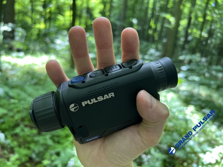 pulsar axion